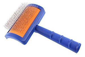 brush for a labradoodle dog's coat