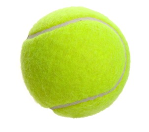 tennis ball dog toy